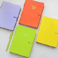 colored notebook diary