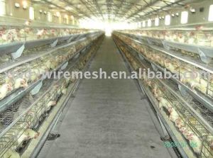 Hot Galvanized Farm Layer Chicken Cage