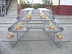 Hot Galvanized Farm Layer Chicken Cage
