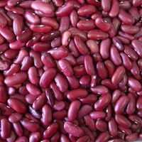 organic kidney beans