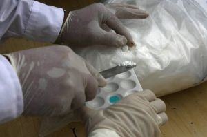 Petar, Anesket, Calypsol, Curacao