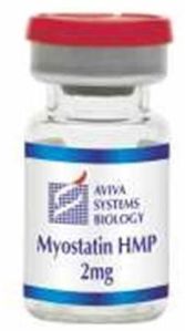 Mgf 95% 2mg/vial, Myostatin Pro Peptide (ace-031) 1mg