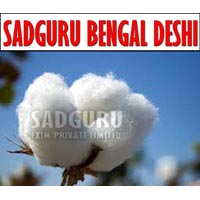Sadguru Bengal Deshi Raw Cotton