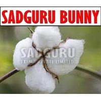 Sadguru Bunny Raw Cotton