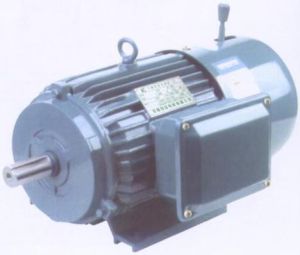 YEJ Series Three Phase Induction Motor