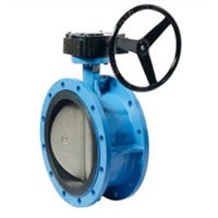 Double Offset Butterfly Valves