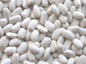 White Bean