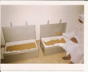 Au Gold Dust, Gold Bars