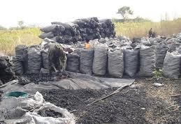 black pepper,  Cultivation Type : Natural