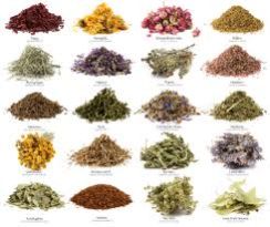 Herbal Raw Material