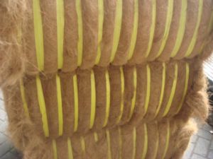 Coconut Fibers Coconut Fibers