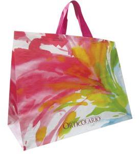 PP Woven Shopping Bag 17