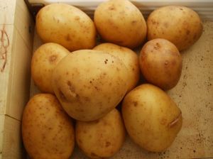 Irish Potatoes