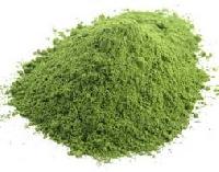 Curry Leaves Powder