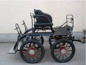 Marathon Competition Horse Carriage Bth-04m