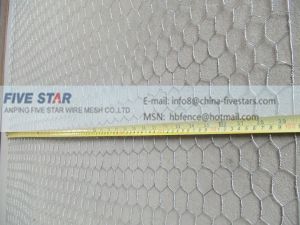 Hexagonal Wire Netting