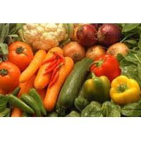 fresh vegetables