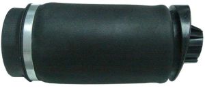 Benz W251 Rear Gas Springs