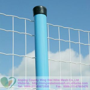 Holand Wire Mesh Fence