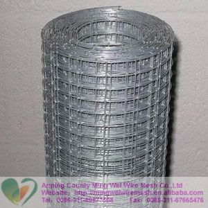 Welded Wire Mesh