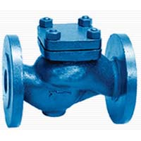 Check Valves