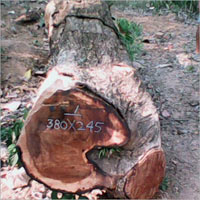 Ghana Teak Wood Timber