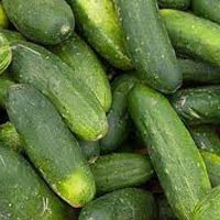 Cucumber, Padwal