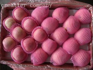 Fresh Fuji Apples Fresh Fuji Apples