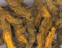 Chinese Goldthread Rhizome Extract