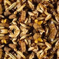 Animal Feed Barley