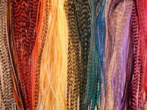 Dyed Grizzly Rooster Feathers Hair Extension