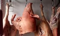 pork head
