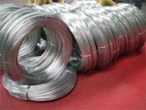 Galvanized Iron Wire
