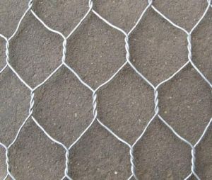 Hexagonal Wire Netting