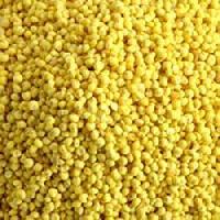 Yellow Millet