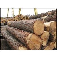 cheap pine wood log