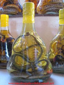 Processed, Unprocessed Poisonous Snake Oil