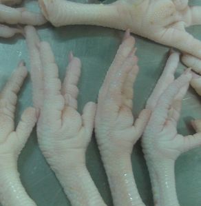 Healthy Grade A  Chicken Feet Chicken Prawn Whole Chicken Chicken Wing