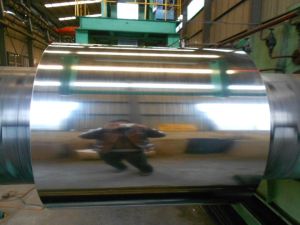 Galvanized Steel Coils, Thickness (mm) : 0.15mm-3.0mm