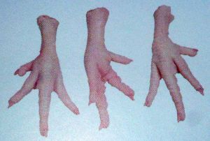 Chicken Feet