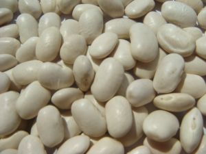 white kidney beans