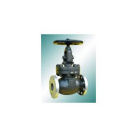 globe valve