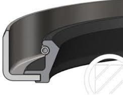 rotary shaft seals