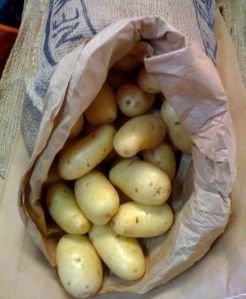 fresh potato,  Shelf Life : 3 Months
