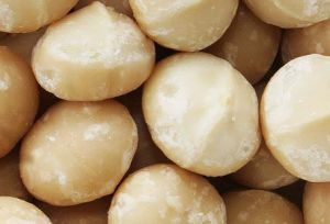 macadamia nut