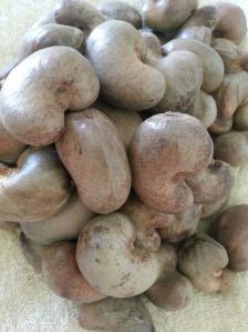 Raw Cashew Nuts Foreign matter : 1% max