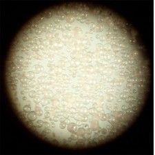 Hollow Glass Microsphere