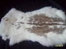 Rabbit Skin Rabbit Skin