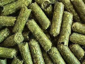 Alfalfa Pellets