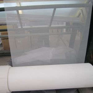 Window Mesh Screens